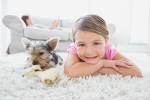 Common Problems Carpets Face and Ways to Resolve Those Problems