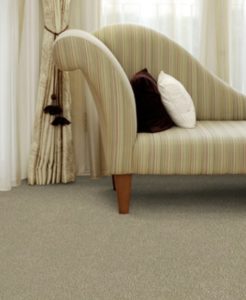 Keeping your Carpeting From Suffering Wear and Tear