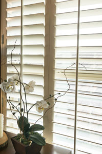 Mike's Flooring & Design Center Custom Window Treatments Dagsboro, DE