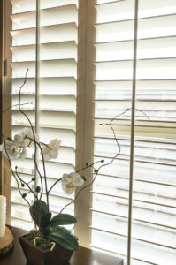 Mike's Flooring & Design Center Plantation Shutters in Ocean City, MD