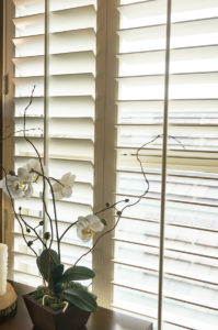 Mike's Flooring & Design Plantation Shutters in Ocean Pines, MD